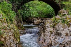 Puente-Medieval-del-Murtiga-15r