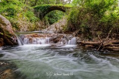 Puente-Medieval-del-Murtiga-21r