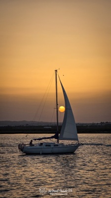 20260807_211911-E