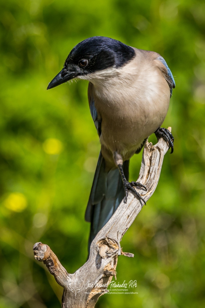 51080593633_086482391b_or