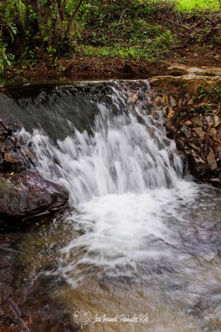 PiPo_651285-Erl