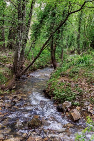 PiPo_651321-HDR-Erl