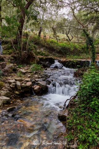 PiPo_651328-HDR-Erl