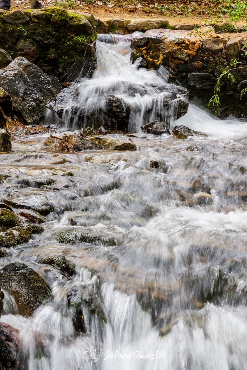 PiPo_651335-HDR-Erl