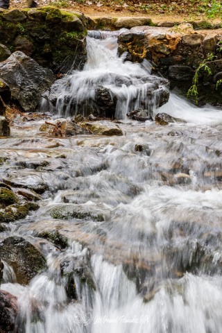 PiPo_651335-HDR-Erl