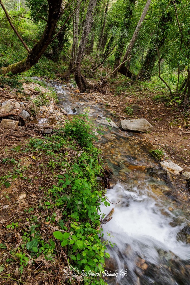 PiPo_651342-HDR-Erl