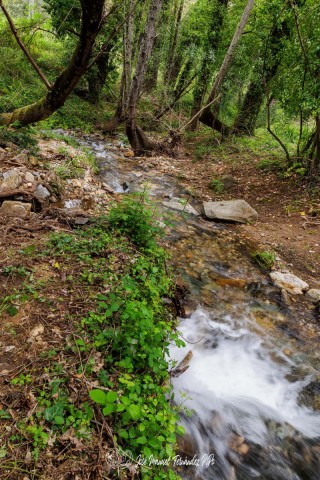 PiPo_651342-HDR-Erl
