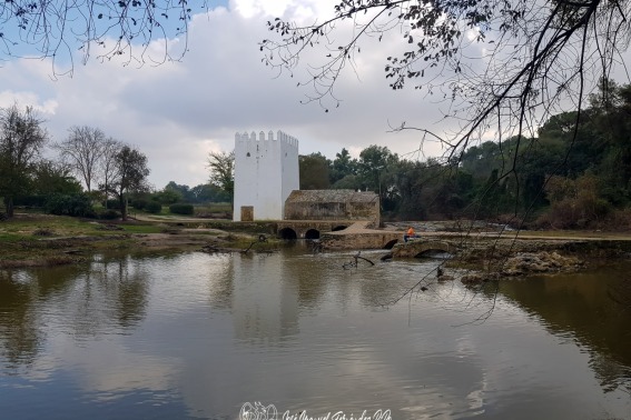 Rio Guadaira 09-11-24