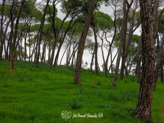 Rio Guadaira 09-11-24