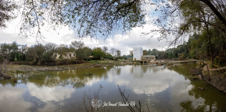 PiPo_732769-Pano-Erl