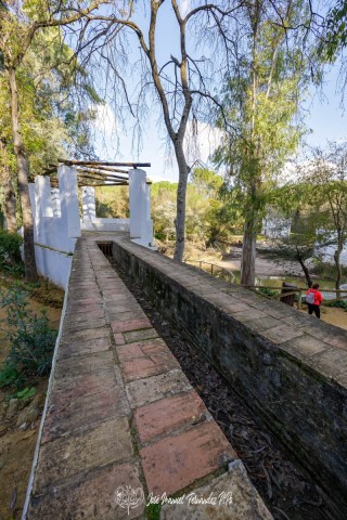 PiPo_732959-E-Erl
