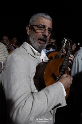 PiPo-0818711