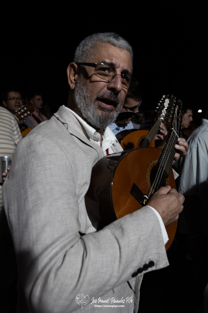 PiPo-0818711