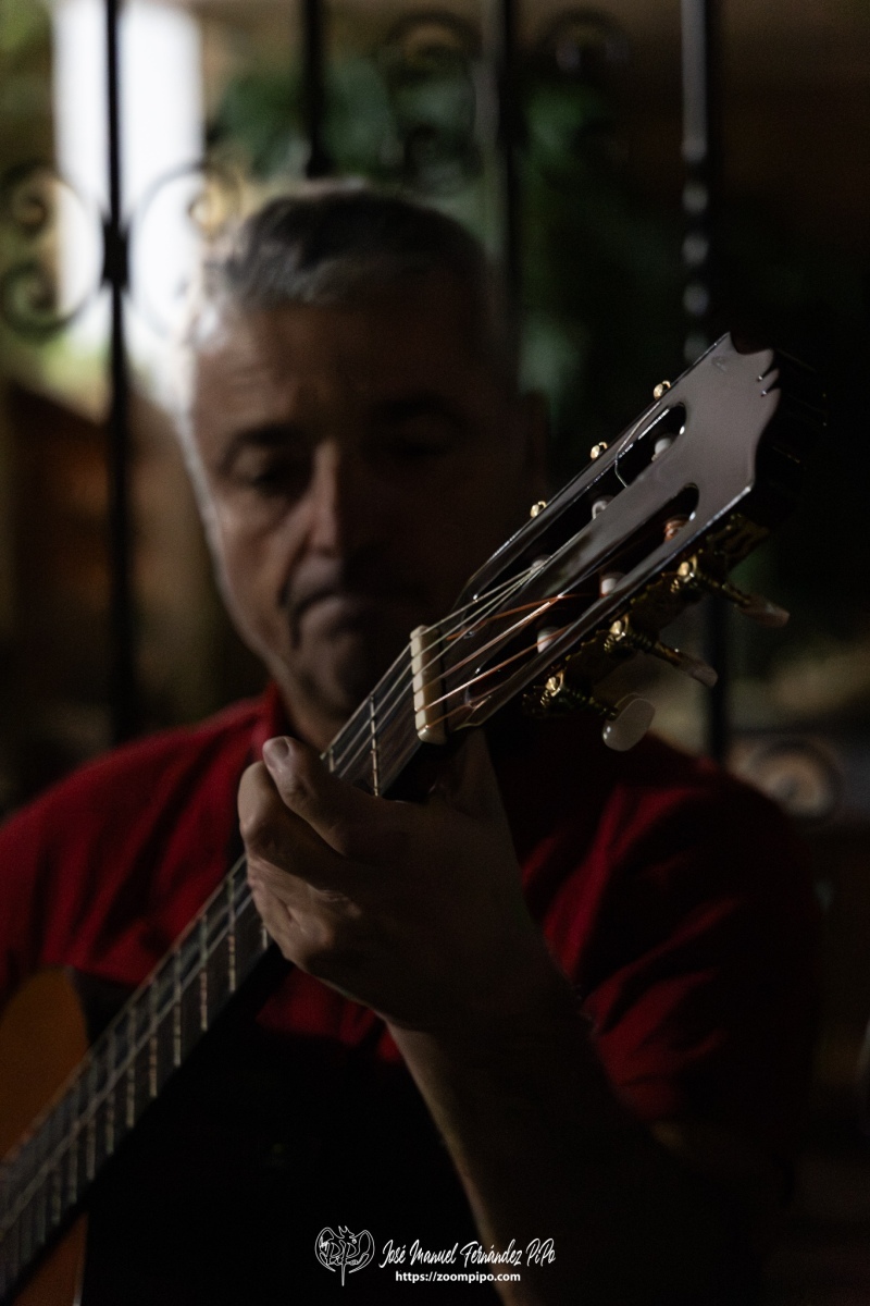 PiPo-0818775