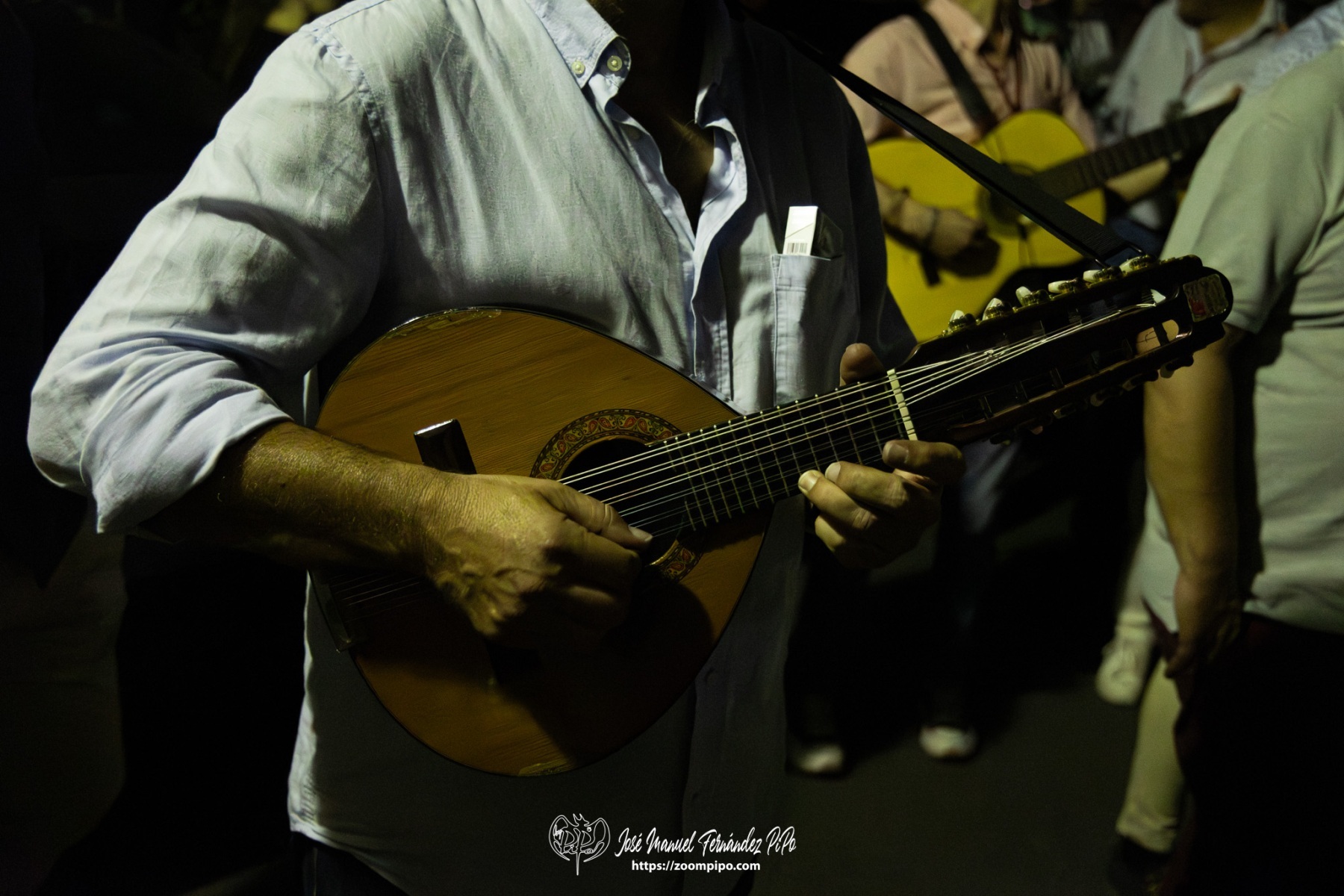 PiPo-0818829