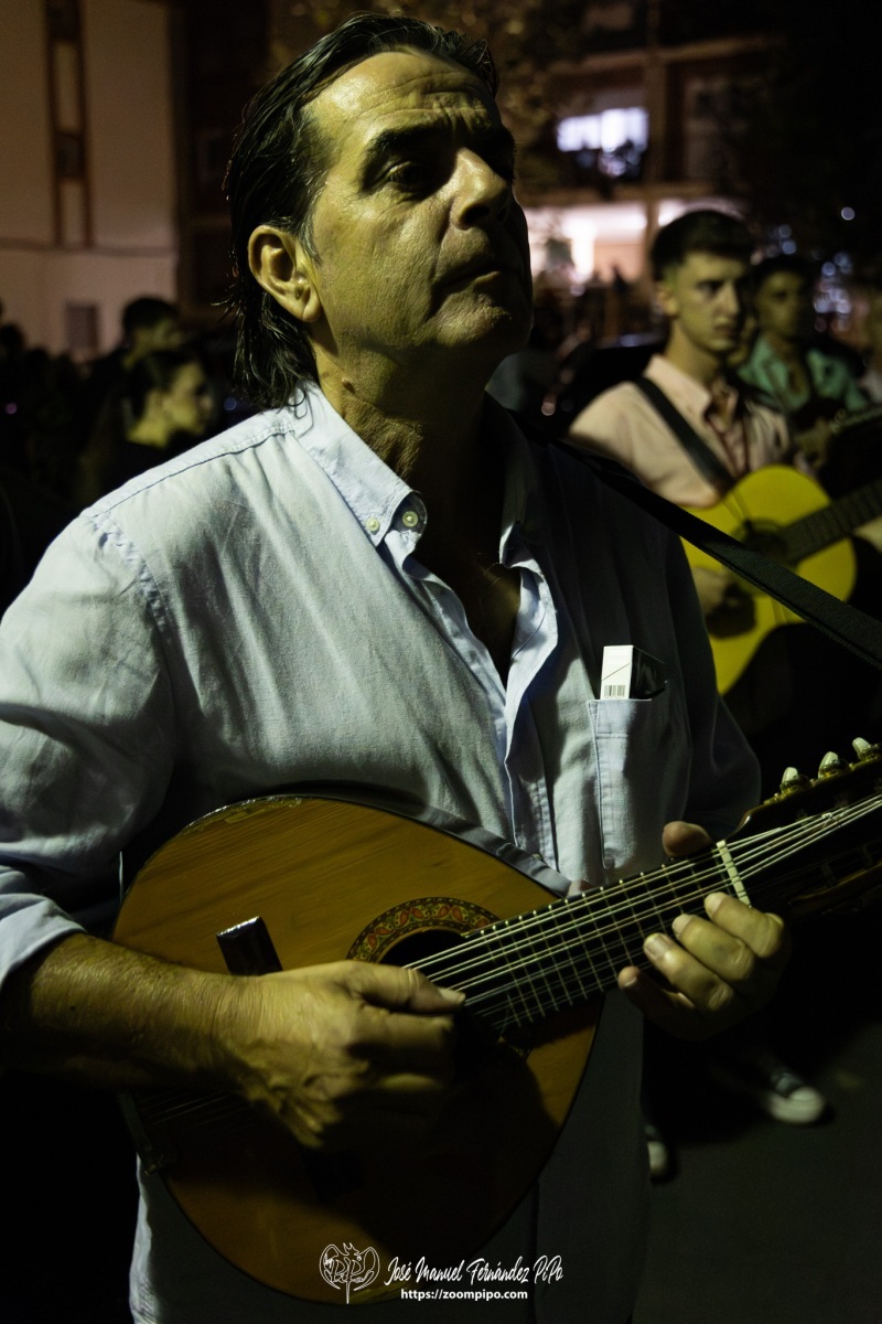 PiPo-0818831