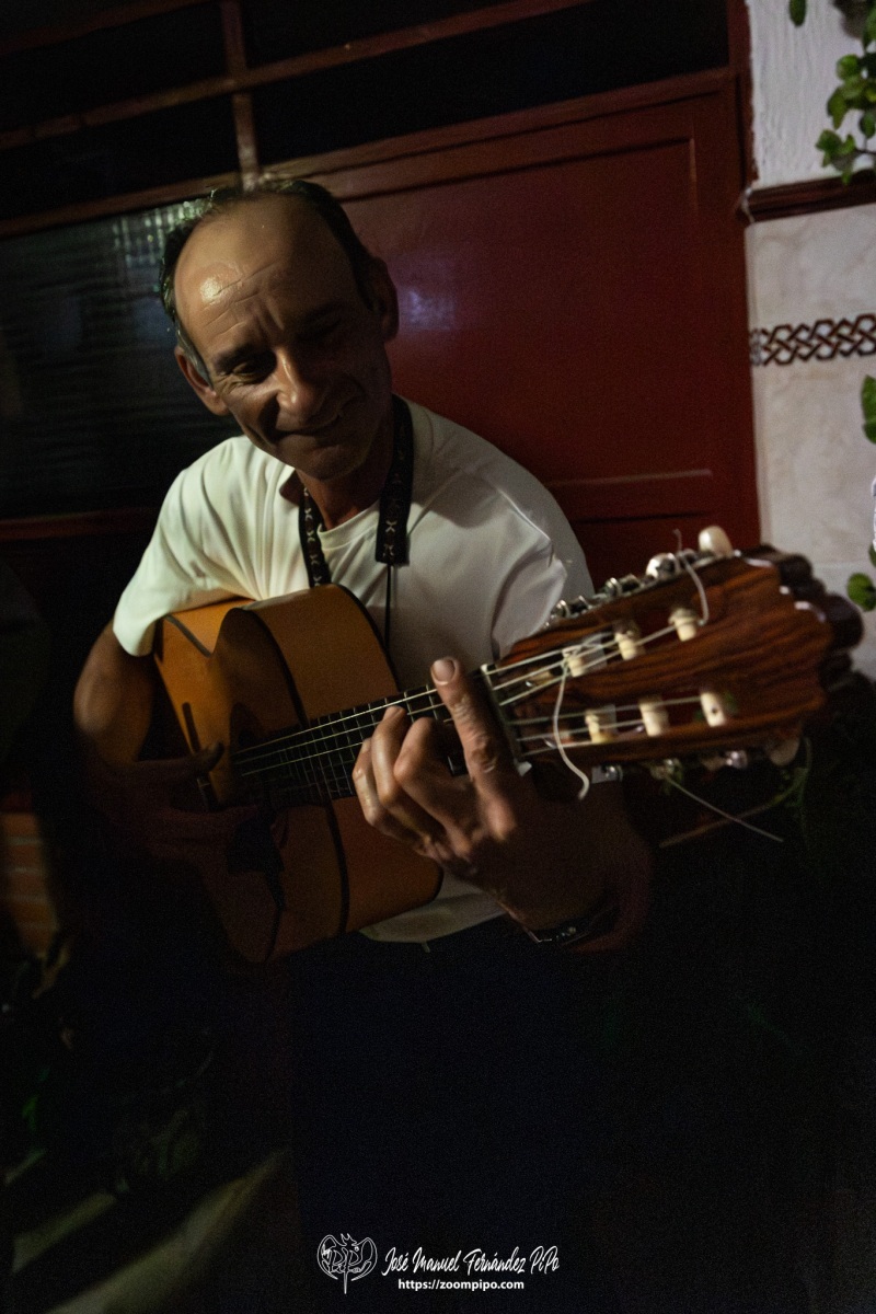 PiPo-0819255