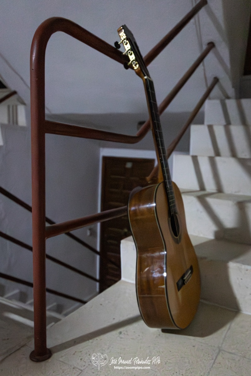 PiPo-0819343