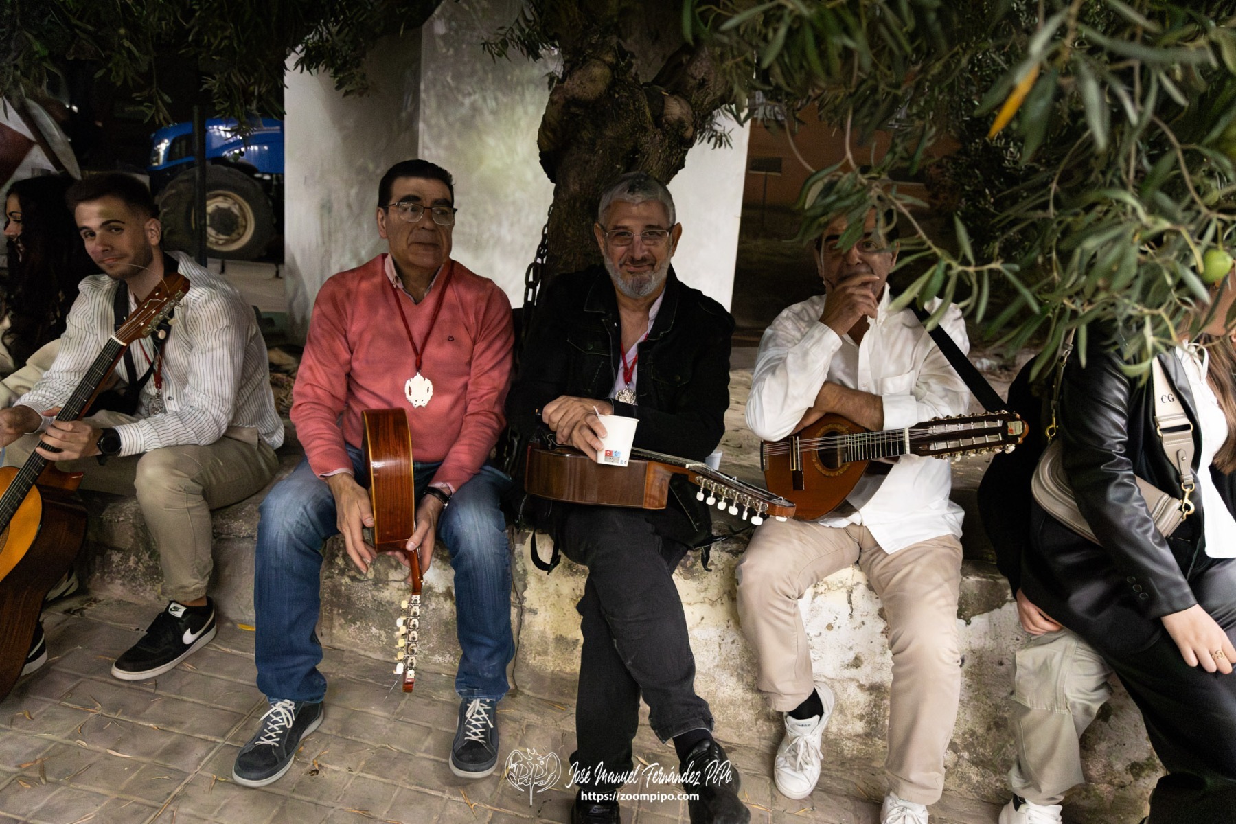 PiPo-0819601