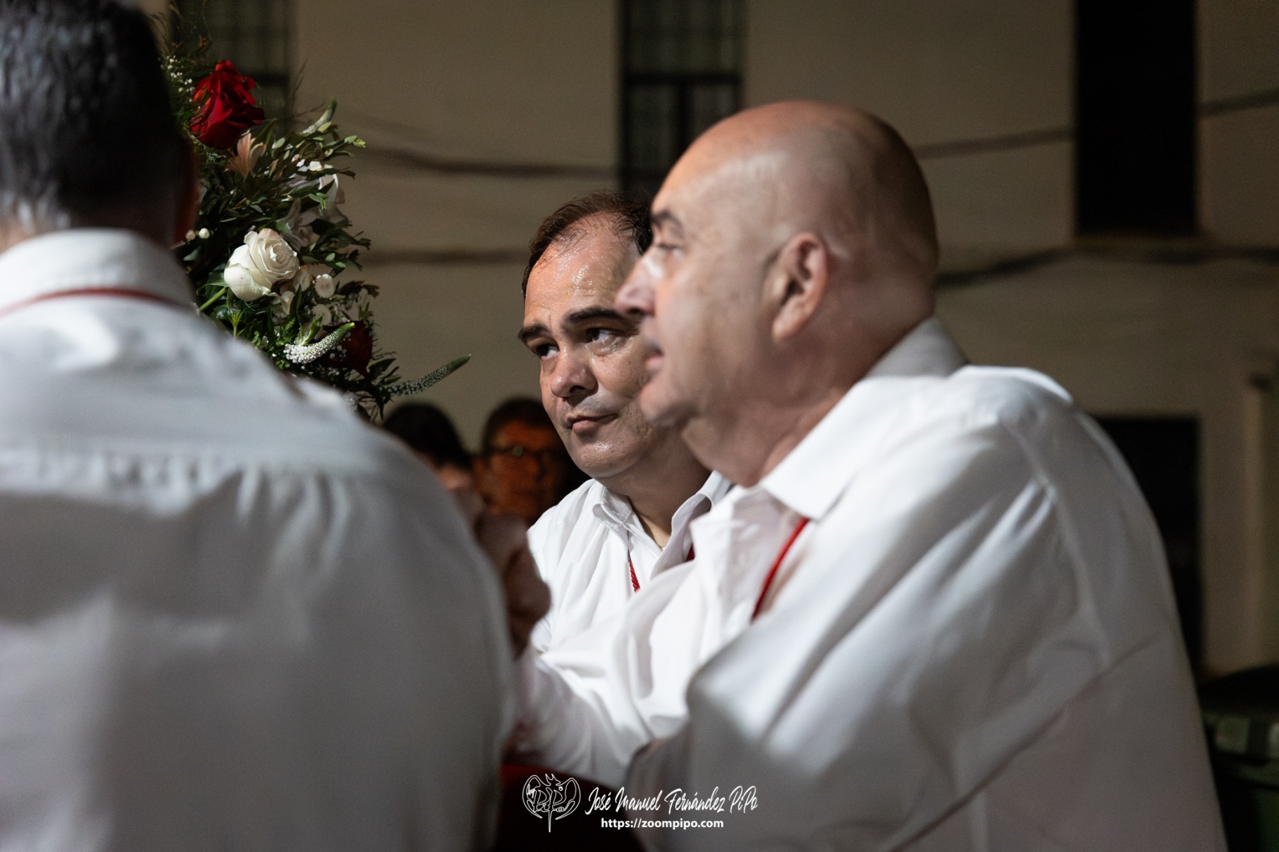 PiPo-0820184