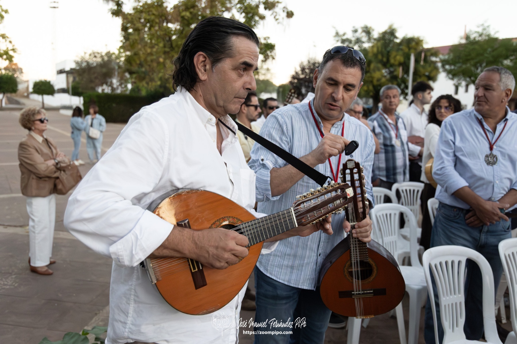 PiPo-0820338
