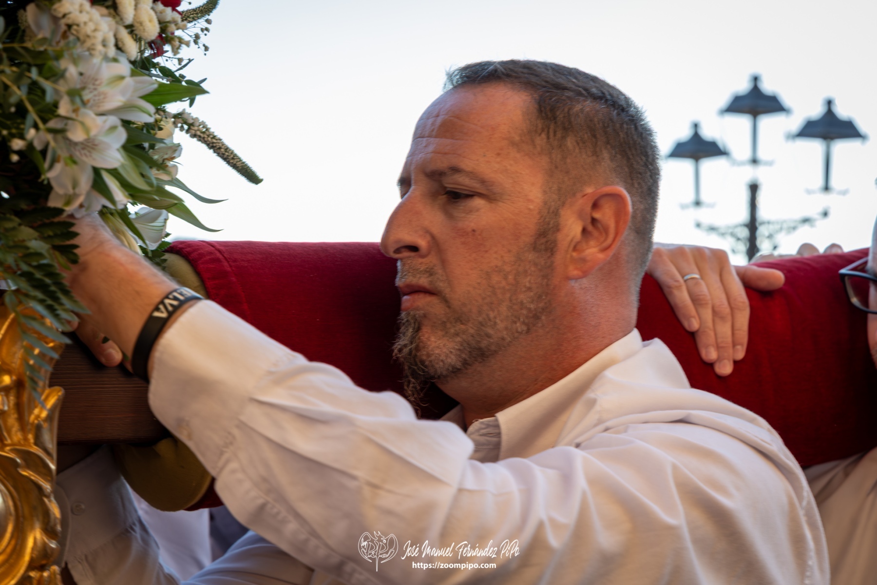 PiPo-0820494