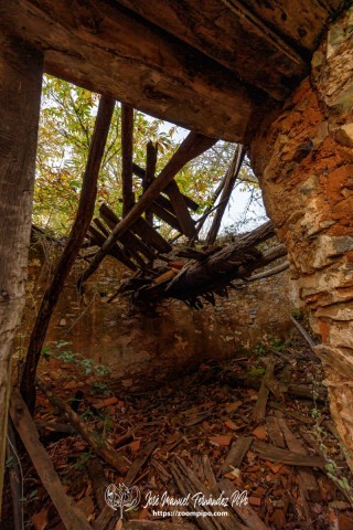 PiPo_732702-E-Erl