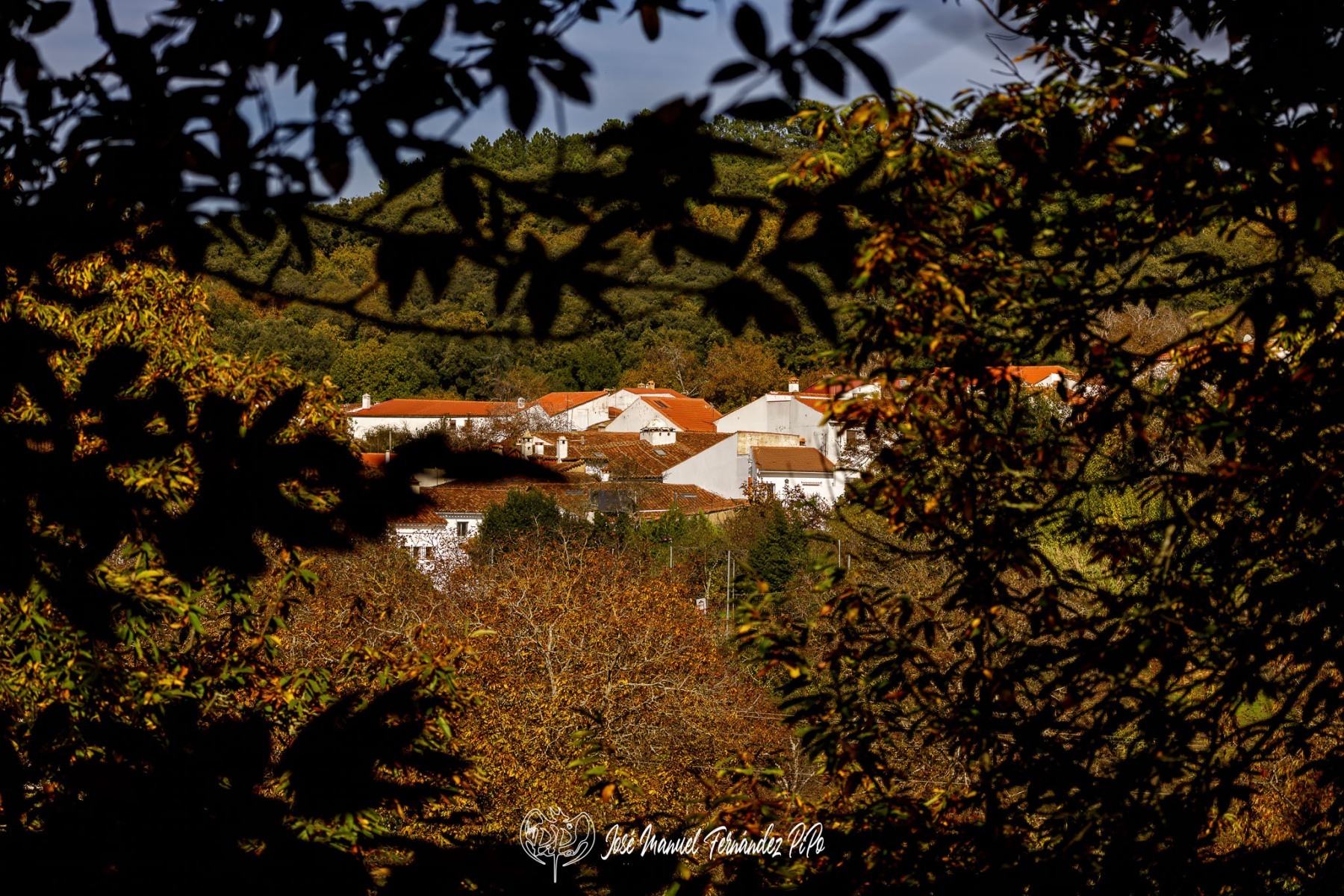 PiPo_732456-E-Erl