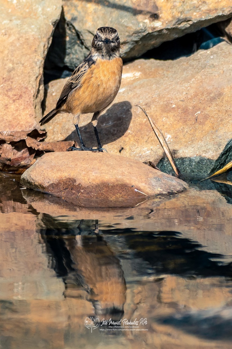 49300787497_c1170d9e2e_or