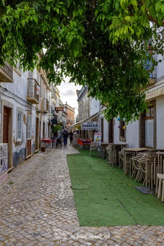 PiPo_737315-E-Erl