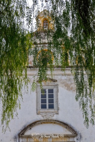PiPo_737344-E-Erl