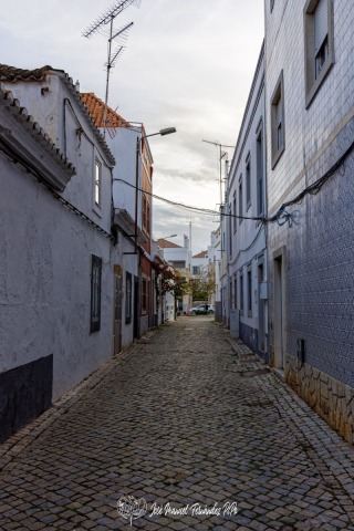 PiPo_737386-E-Erl