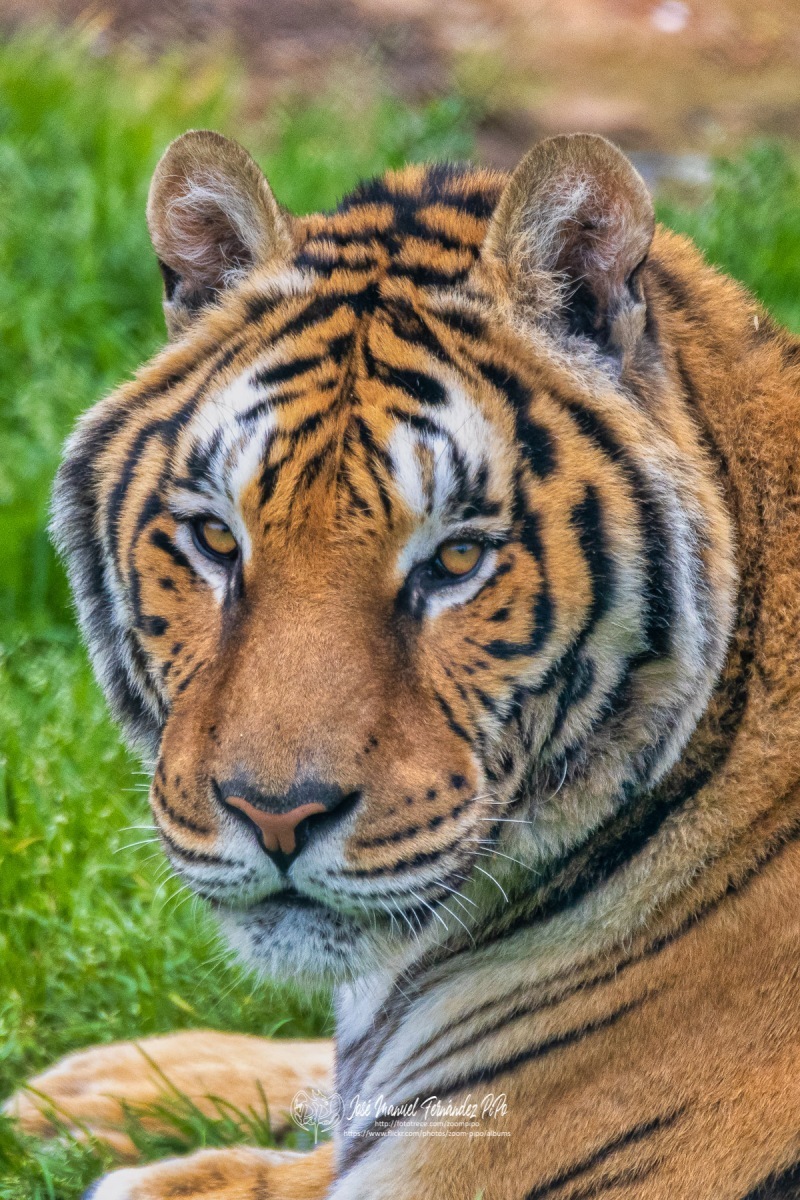 49527117462_b380ef7920_o