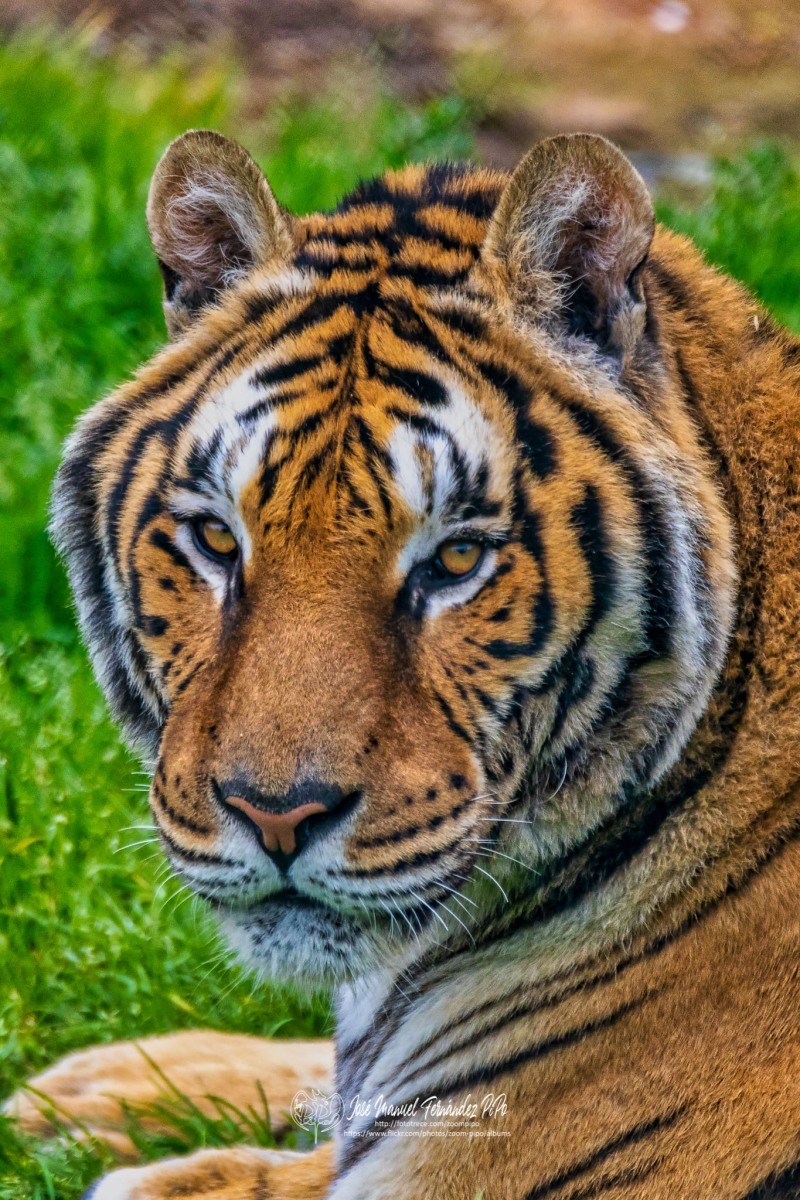 49763695401_cab18d1b42_o