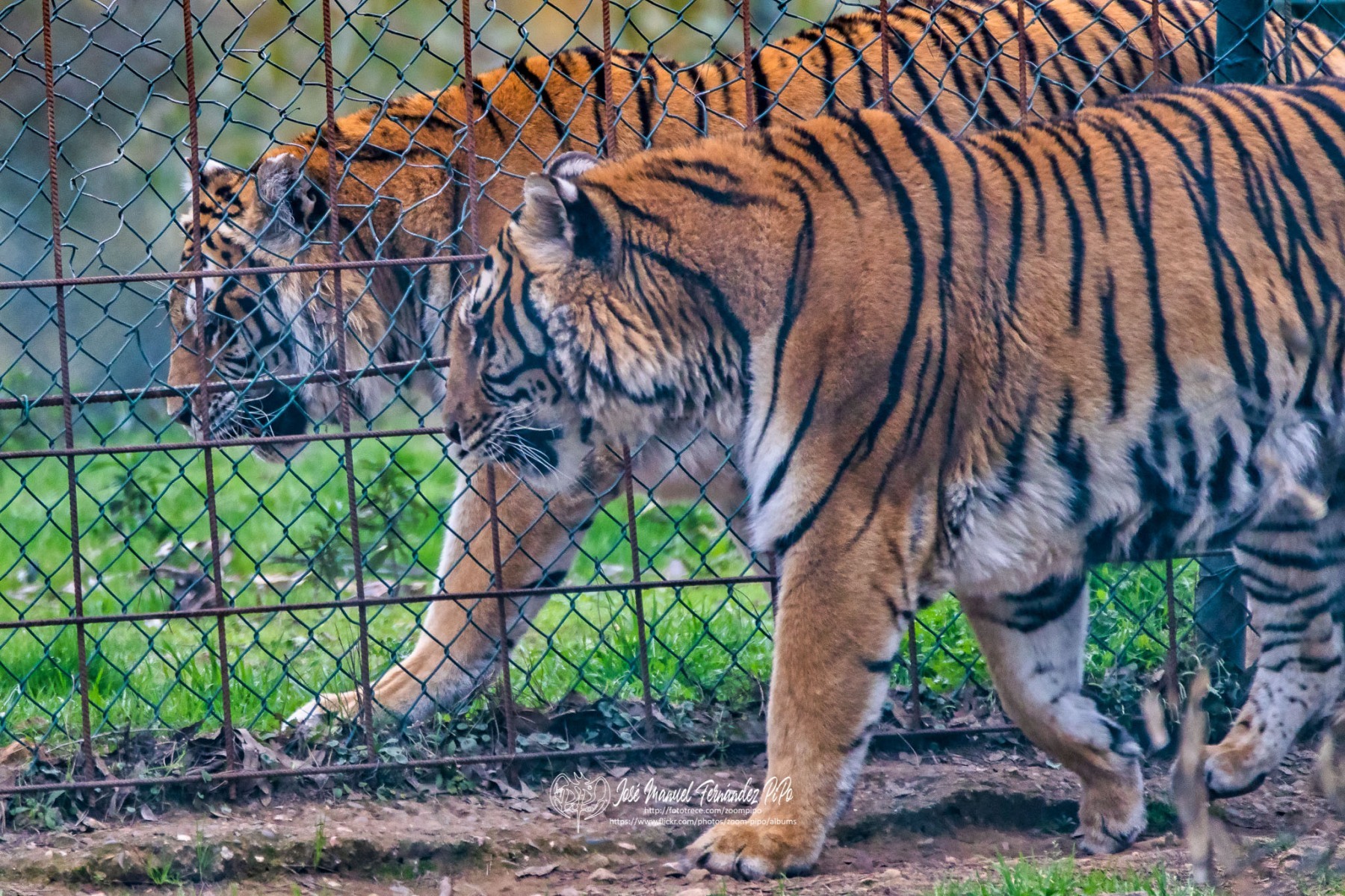 49763695626_3574efe3d9_o