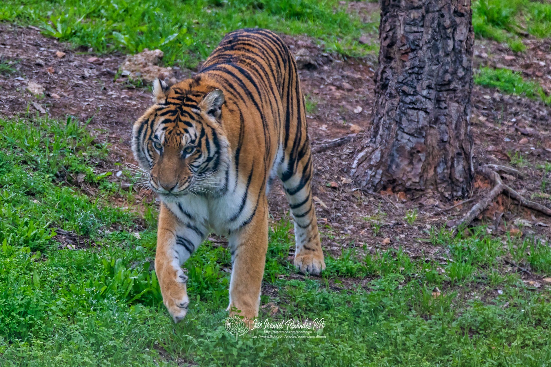 49764023737_187448f4fe_o