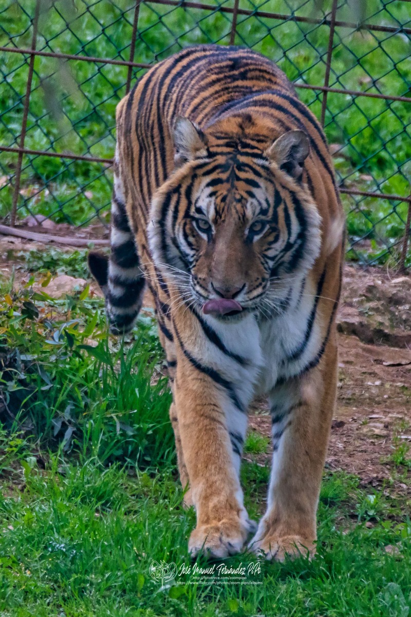 49764023842_da48c60619_o