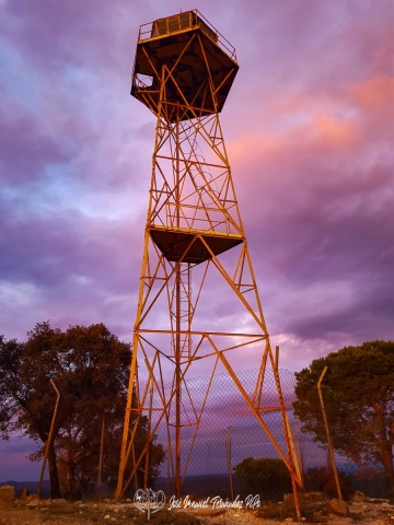 20241027_183412-Erl