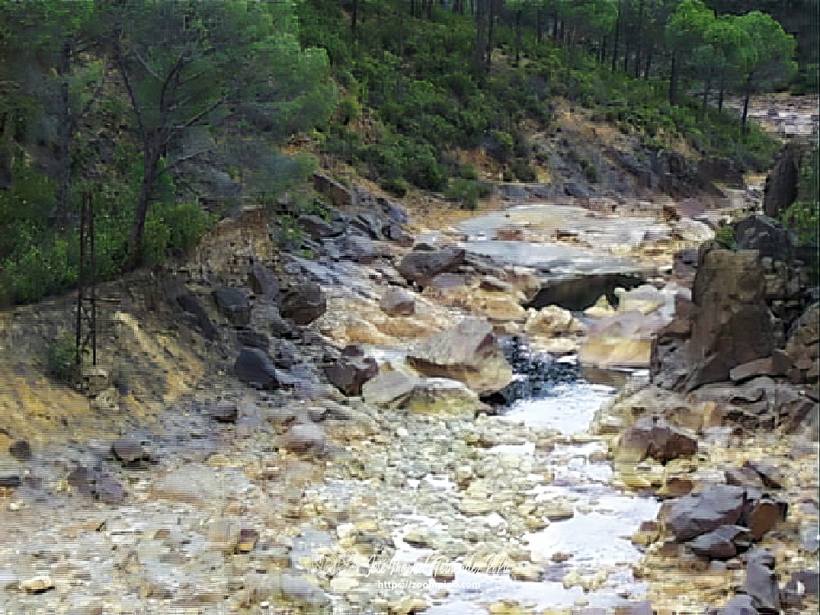 pic00061-E