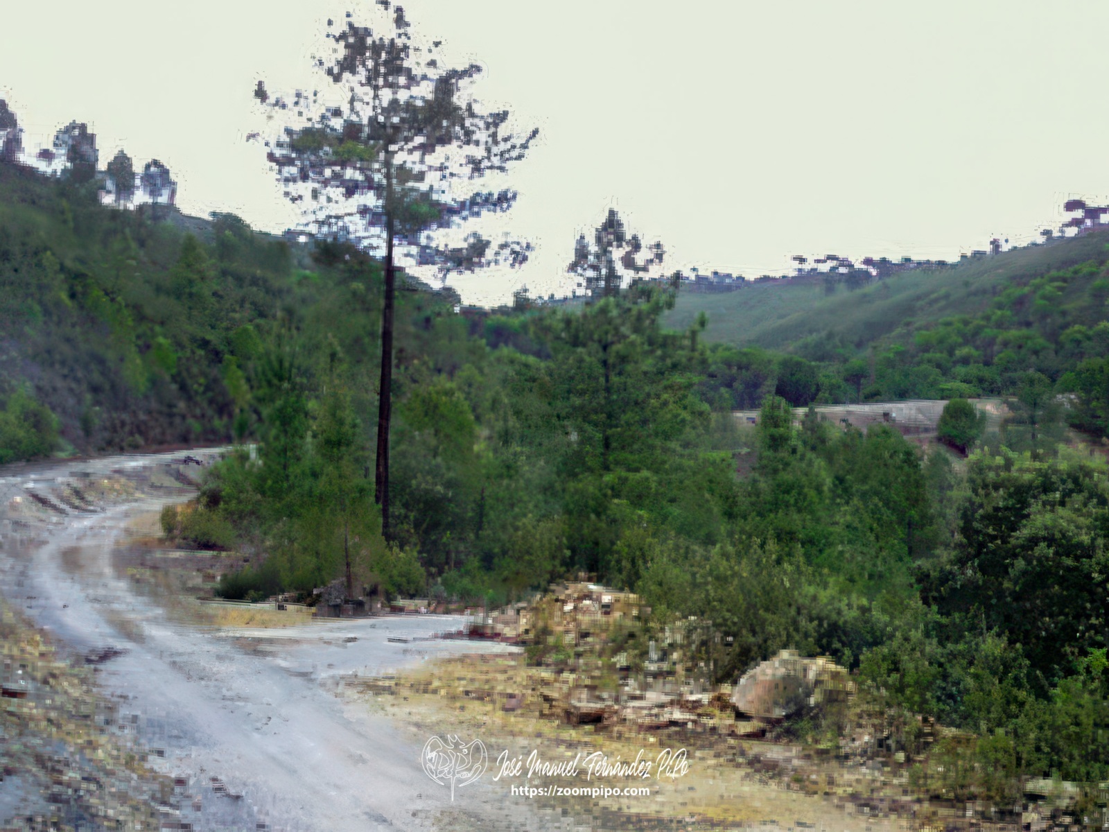 pic00077-E