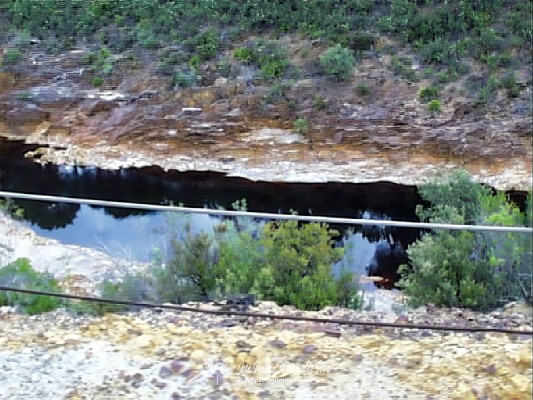 pic00082-E