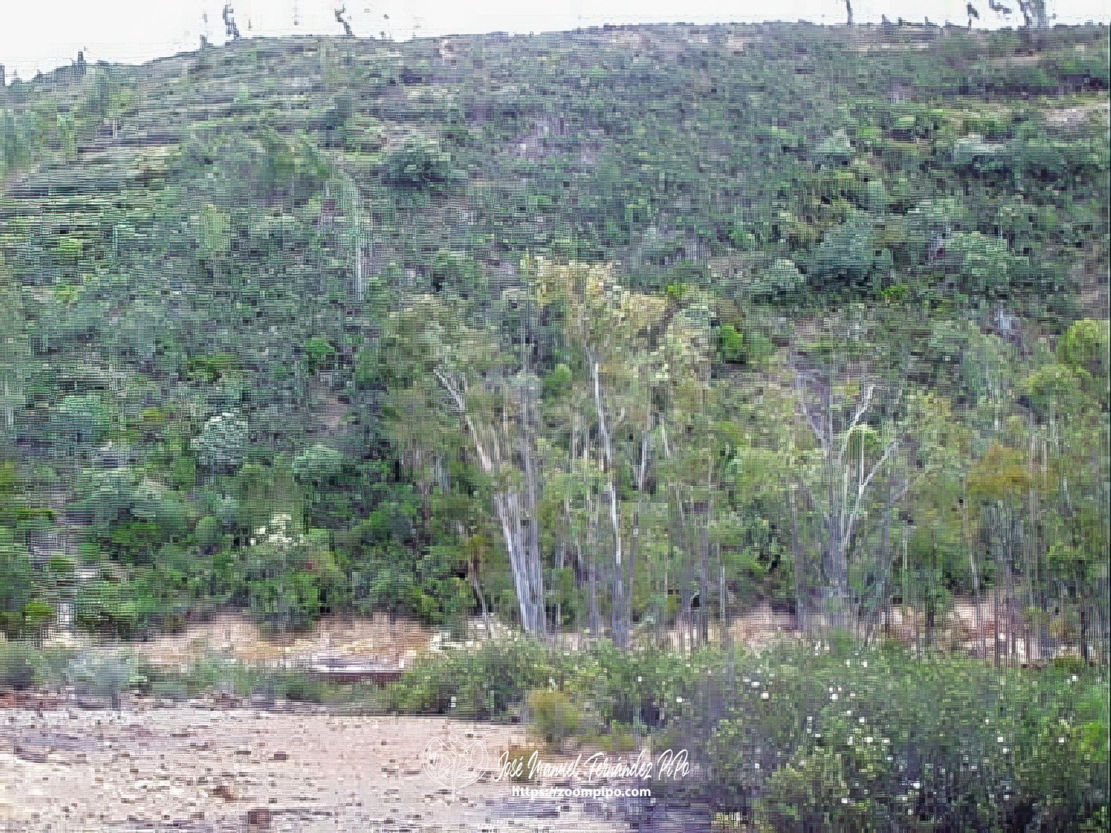 pic00084-E