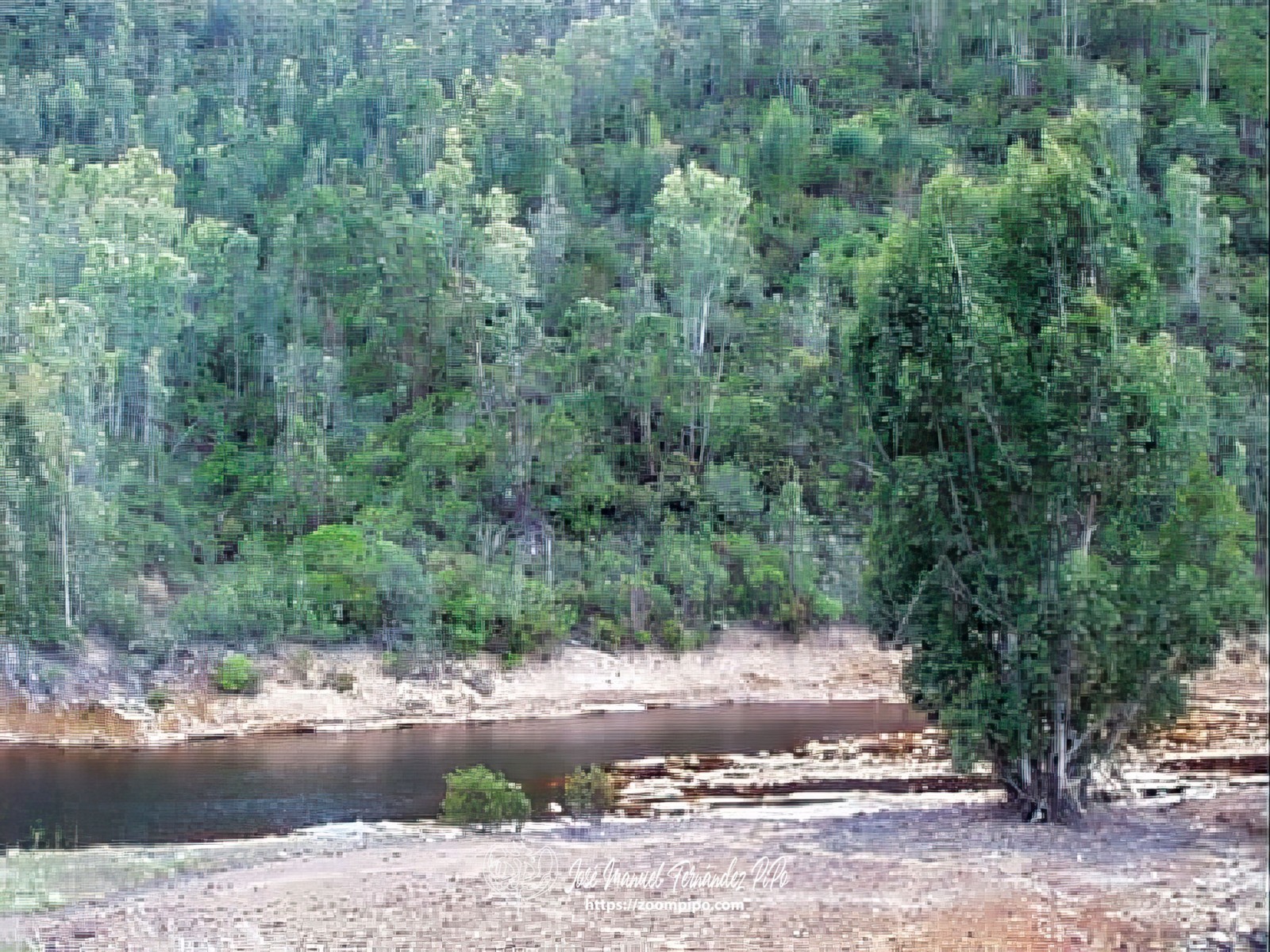 pic00092-E