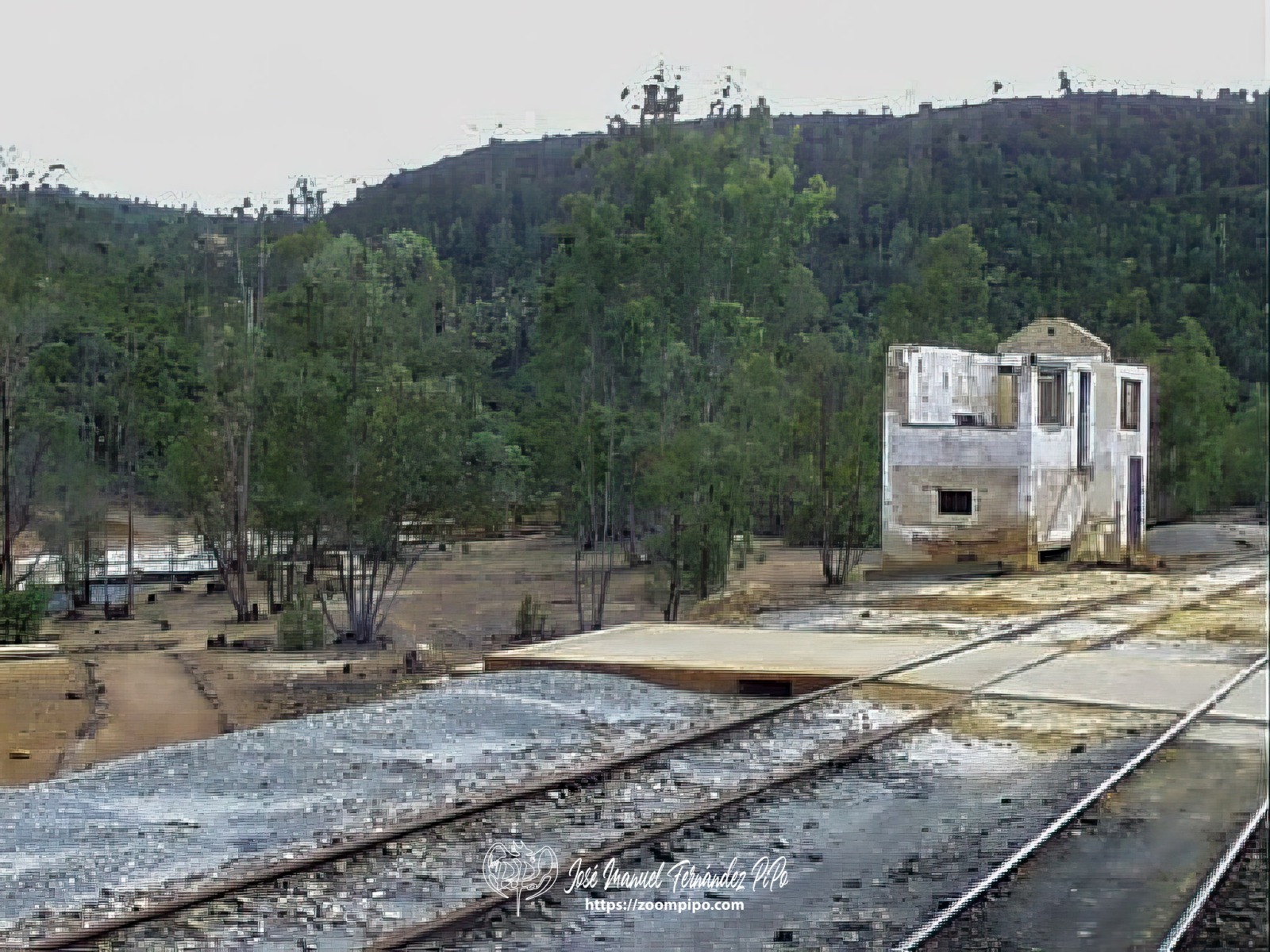 pic00096-E