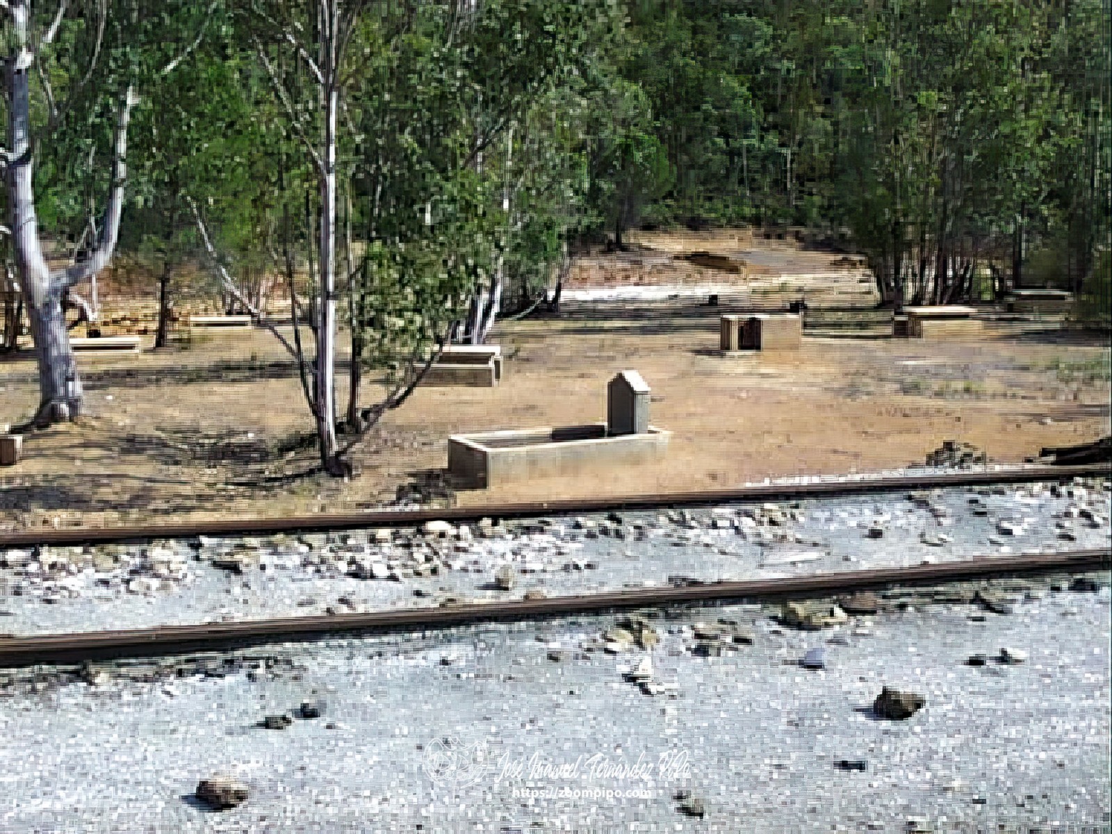 pic00123-E