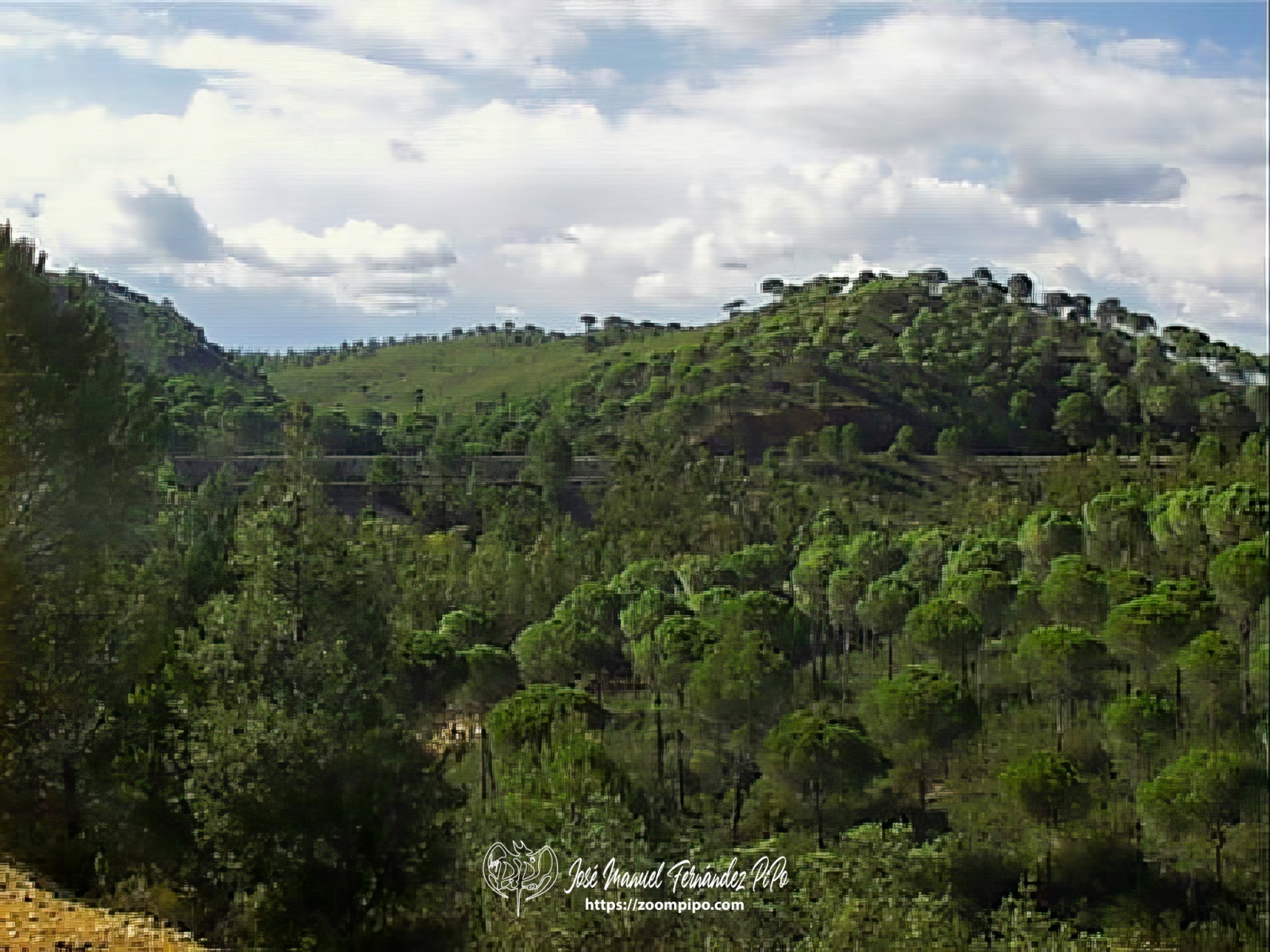 pic00136-E
