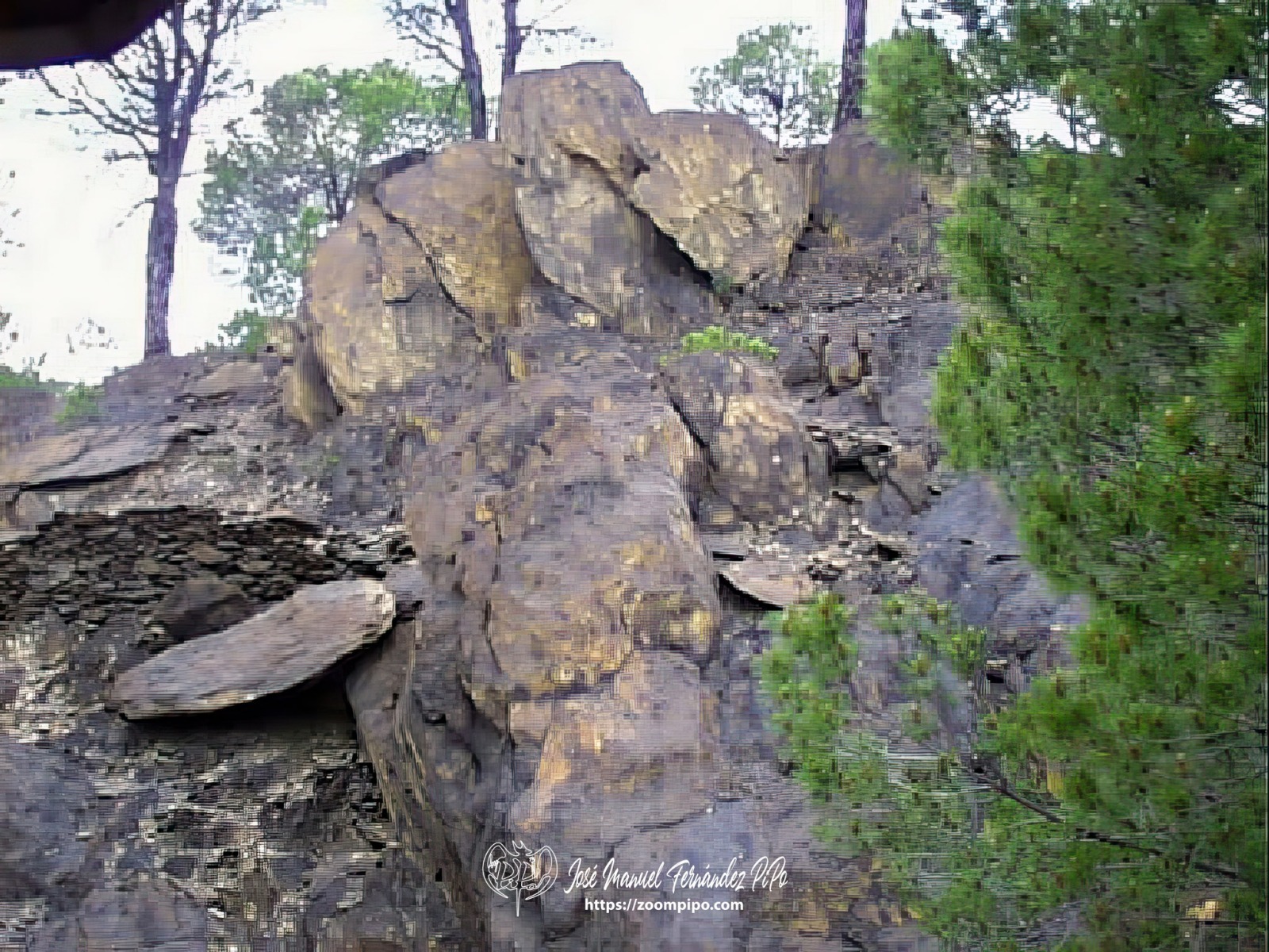 pic00152-E