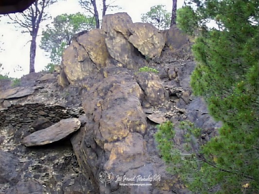 pic00152-E