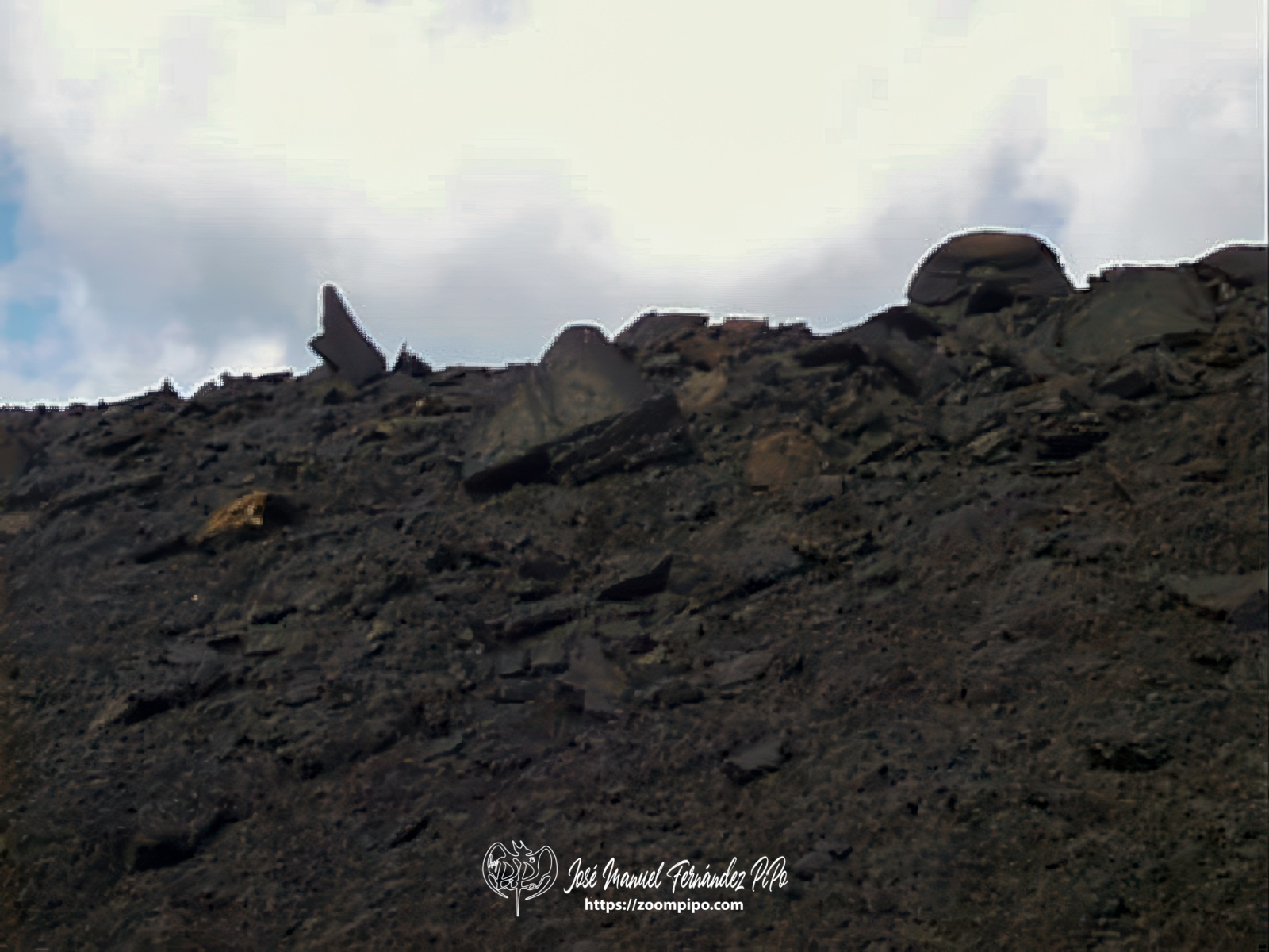 pic00198-E