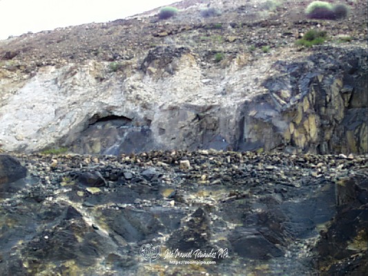 pic00206-E